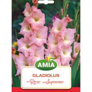 Bulbi gladiole Rose Supreme, calibru 12/14, 7 bucati